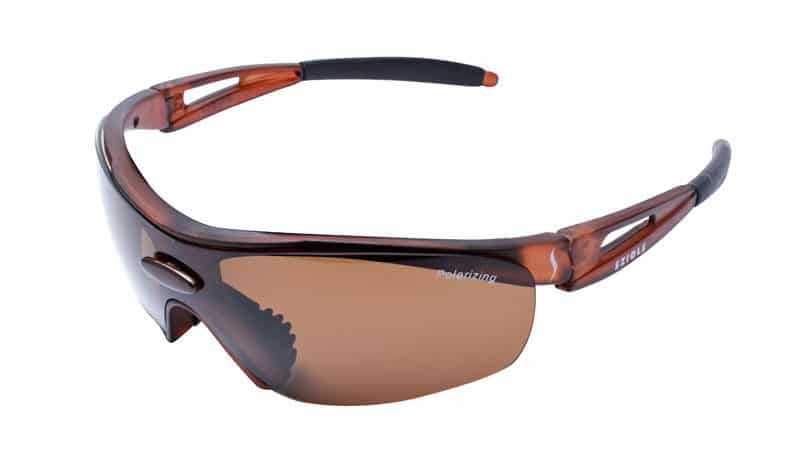 Marron Polarizing Brown